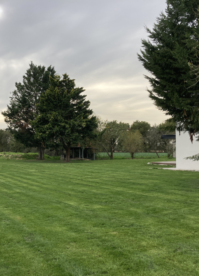 Pose de clôture à Brissac-Loire-Aubance