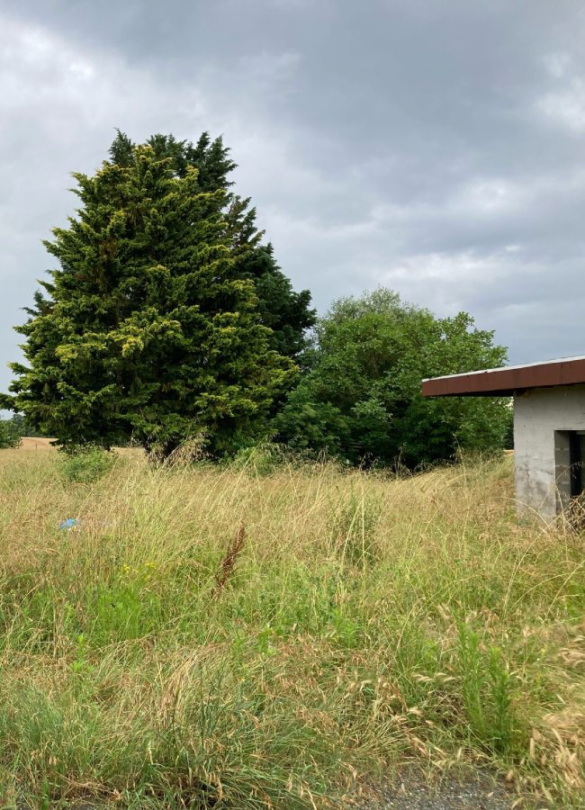 Entretien jardin à Brissac-Loire-Aubance