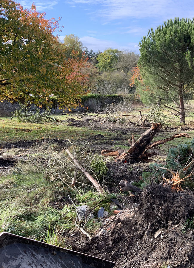 Paysagiste à Brissac-Loire-Aubance